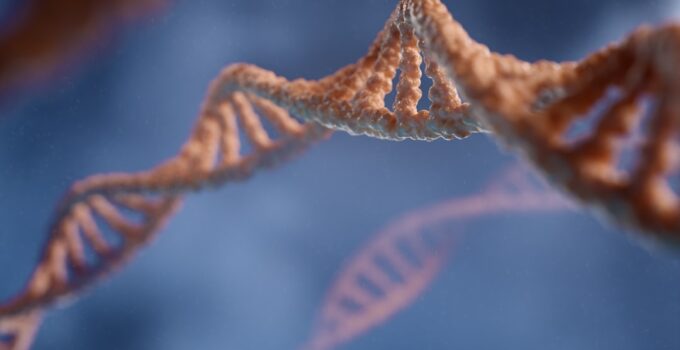 How to Understand How Twins Can Be So Different Despite Sharing DNA