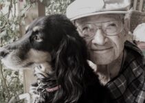 How to Know When It Is Time to Say Goodbye to an Aging Pet How to Know When It Is Time to Say Goodbye to an Aging Pet