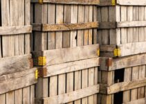 How to Choose the Right Size Crate for Your Dog
