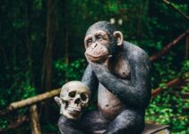 How to Discover the Surprising Ways Technology Is Changing Human Evolution