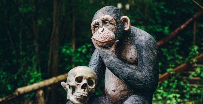 How to Discover the Surprising Ways Technology Is Changing Human Evolution