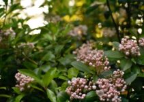 How to Practice Self-Compassion Every Day How to Practice Self-Compassion Every Day