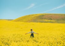 How to Build Confidence in Public Speaking How to Build Confidence in Public Speaking