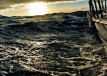 How to Develop Patience in a Fast-Paced World How to Develop Patience in a Fast-Paced World