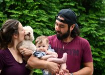 How to Introduce a Dog to a New Baby