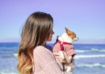 How to Care for Your Pet’s Skin and Coat