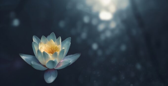 Photo Mindfulness