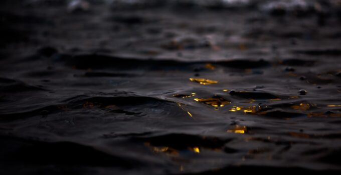 Photo Fireflies Produce Light