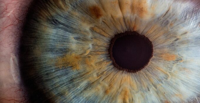 How to Understand How the Human Eye Sees Color