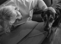How to Build a Strong Bond with a Rescue Dog How to Build a Strong Bond with a Rescue Dog