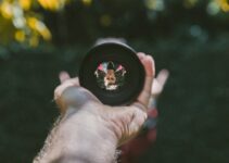 How to Improve Your Focus in a Distracted World How to Improve Your Focus in a Distracted World