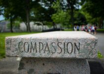 How to Practice Self-Compassion Without Losing Drive How to Practice Self-Compassion Without Losing Drive