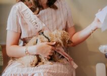 How to Introduce a Dog to a New Baby at Home How to Introduce a Dog to a New Baby at Home