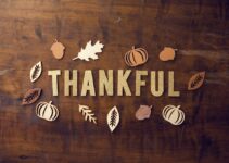 How to Build a Daily Habit of Gratitude