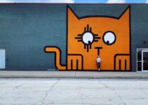 How to Keep a Cat Entertained While You Are at Work How to Keep a Cat Entertained While You Are at Work