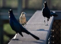How to Practice Assertiveness Without Being Rude How to Practice Assertiveness Without Being Rude
