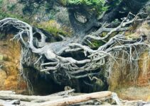 How to Build Resilience After a Major Setback
