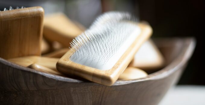 How to Choose the Right Grooming Tools for Your Pet